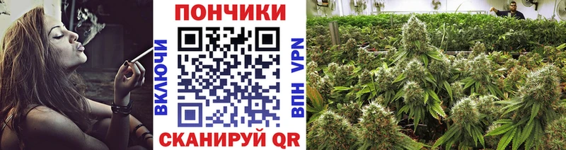 наркотики  кракен онион  Шишки марихуана марихуана  Устюжна 